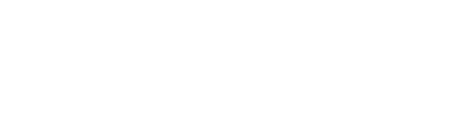 FSDC Dark Logo
